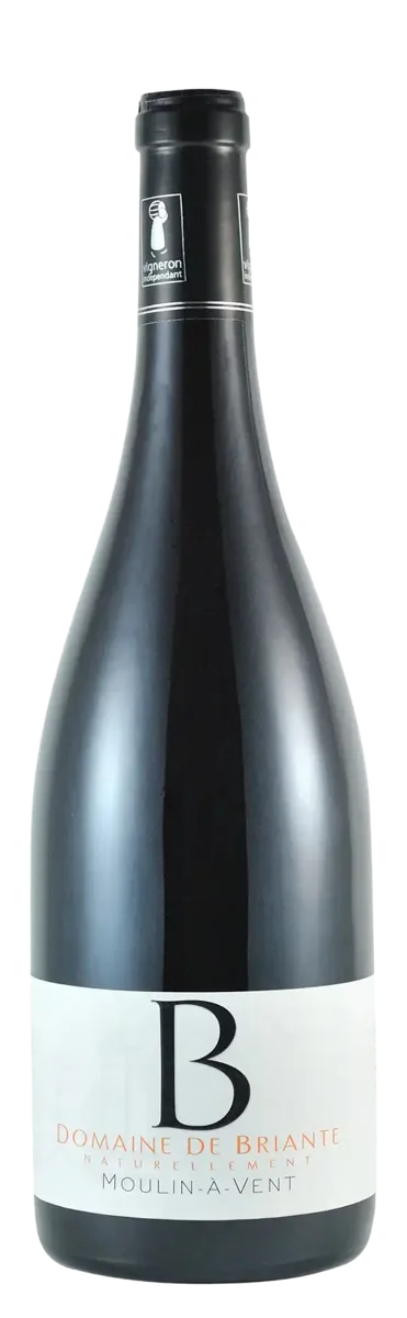 Moulin-à-vent