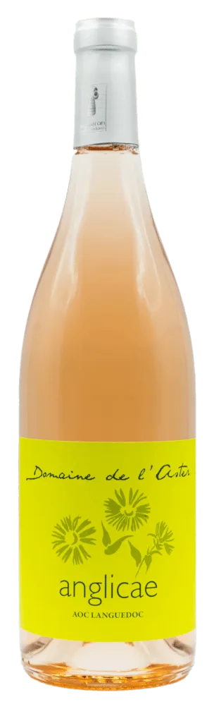 Anglicaé