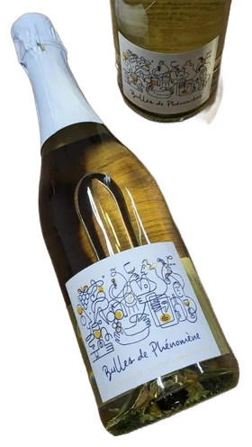 Bulles de Phénomène