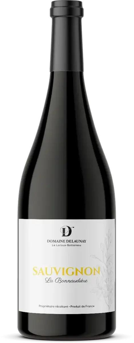 Sauvignon