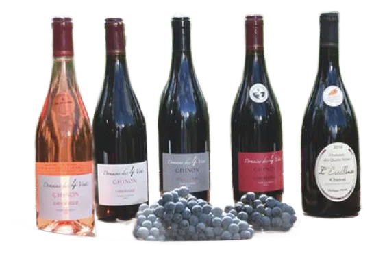 Angélique Rouge