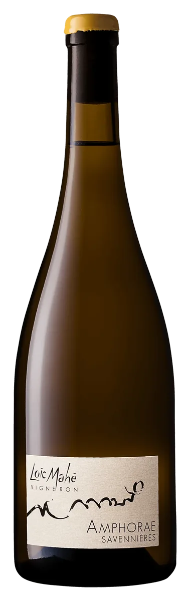 Savennières Amphorae