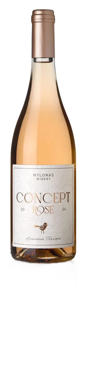 Concept Rose