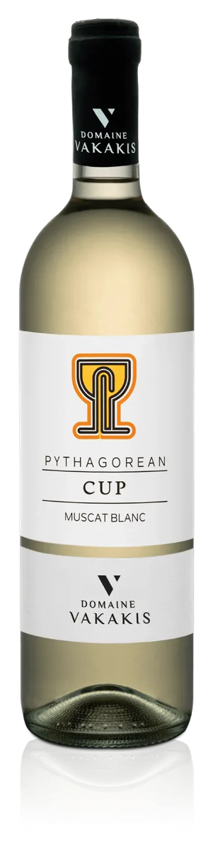 Cup