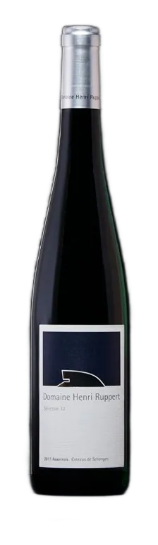 Auxerrois