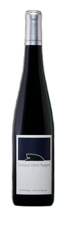 Pinot Blanc