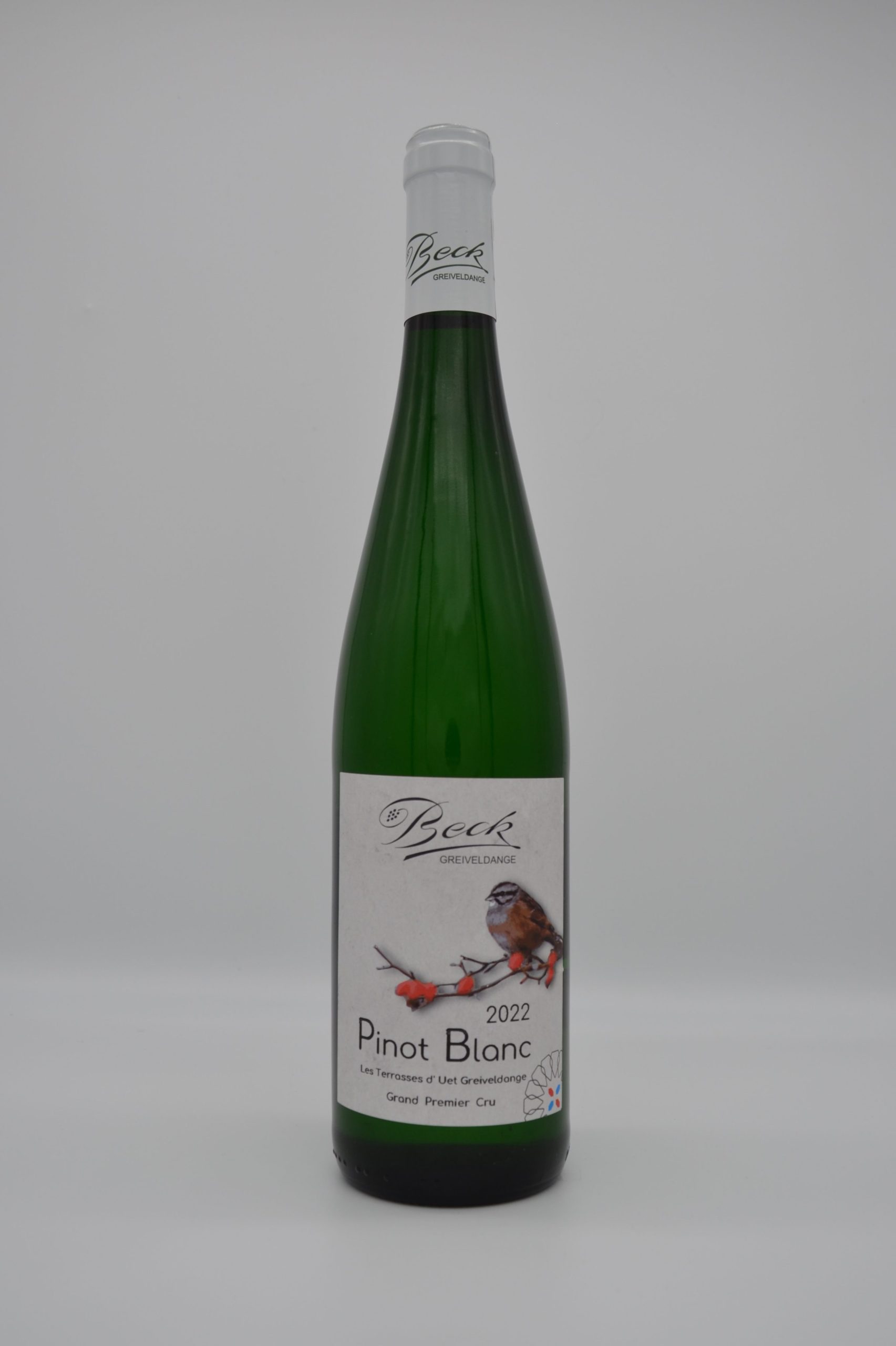 Pinot Blanc 2022 Les Terrasses d’Uet GPC