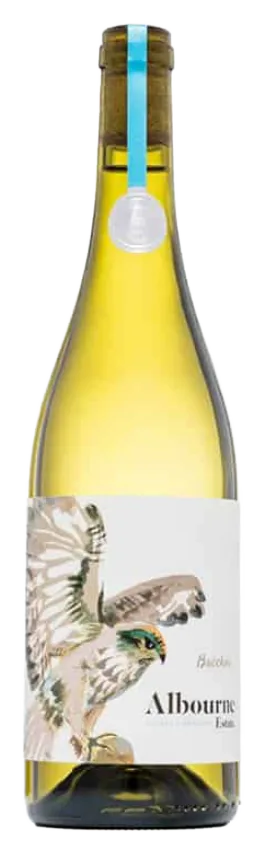 Bacchus 2023