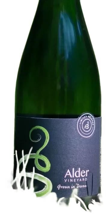 Madeleine Angevine Sparkling