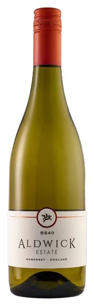 2023 BS40