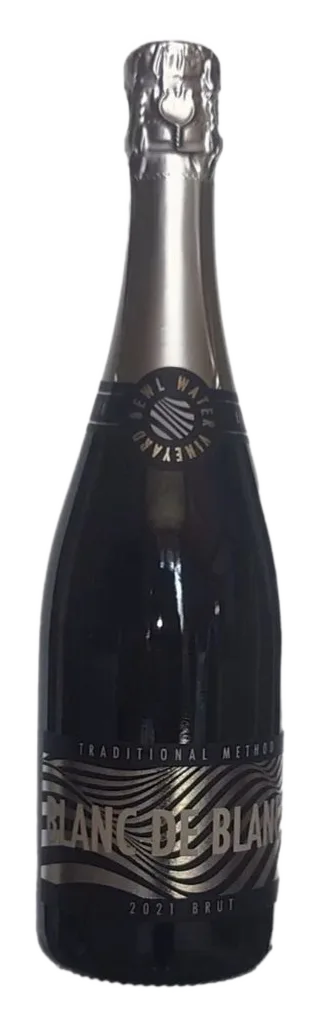 Blanc De Blancs 2021 X6 CASE