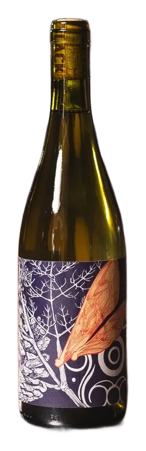 2023 "Tamesis" Bacchus