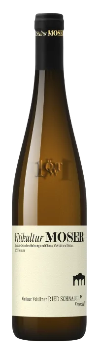 Grüner Veltliner Ried Schnabel Erste Lage