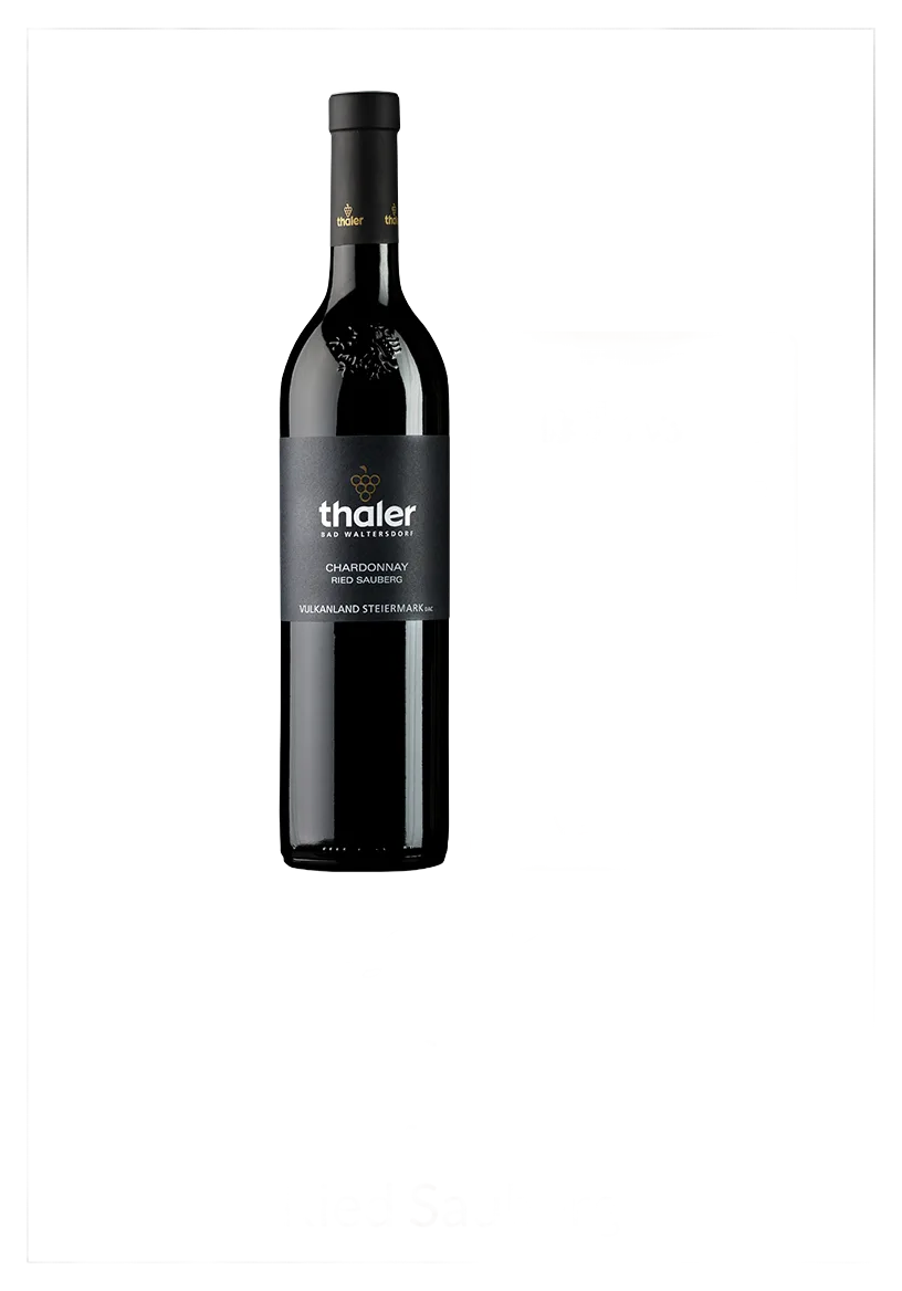 Chardonnay Sauberg