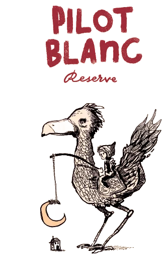 Pilot blanc
