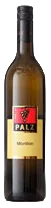 Sauvignon blanc
