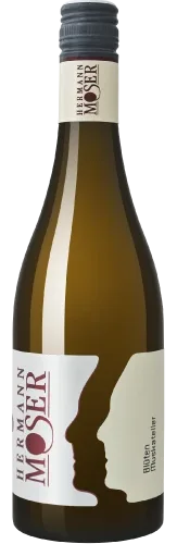 Blütenmuskateller 2017