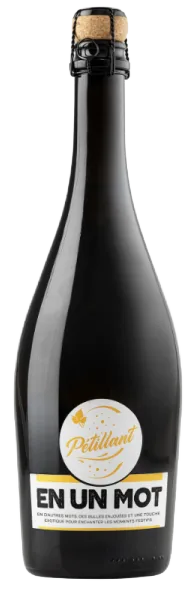 En un mot Pétillant vin mousseux Suisse Extra Dry