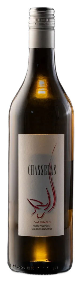 Chasselas Tradition Grand Cru