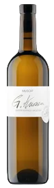 MUSCAT Gregor Kuonen AOC VS