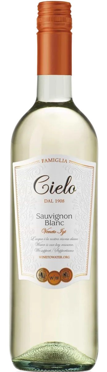 Sauvignon Veneto IGT