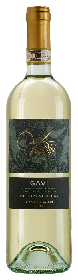 Gavi Comune di Gavi