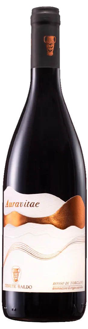 Aurvitae