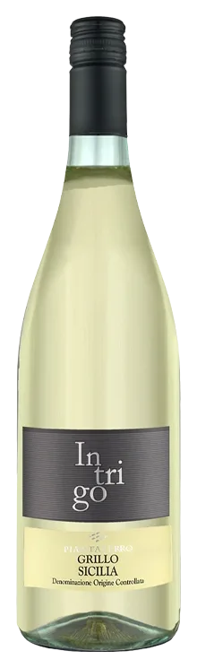 Grillo