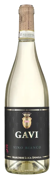 Gavi