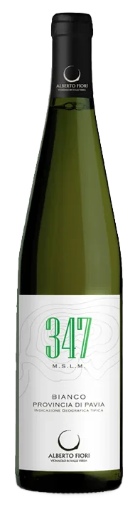 347 M.S.L.M. Bianco