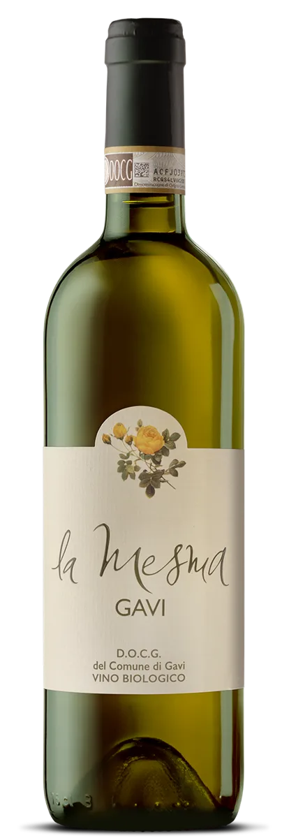 Gavi Etichetta Gialla