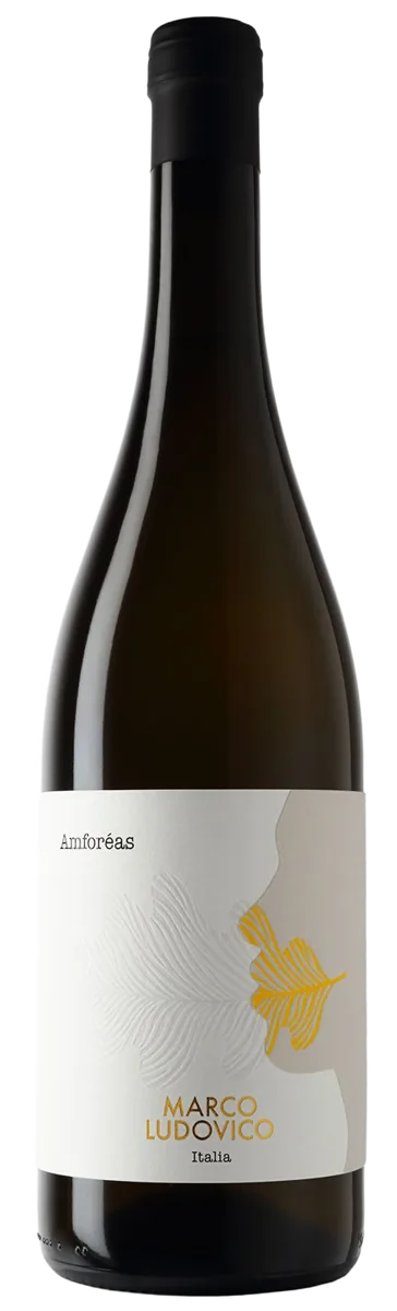 Amforéas