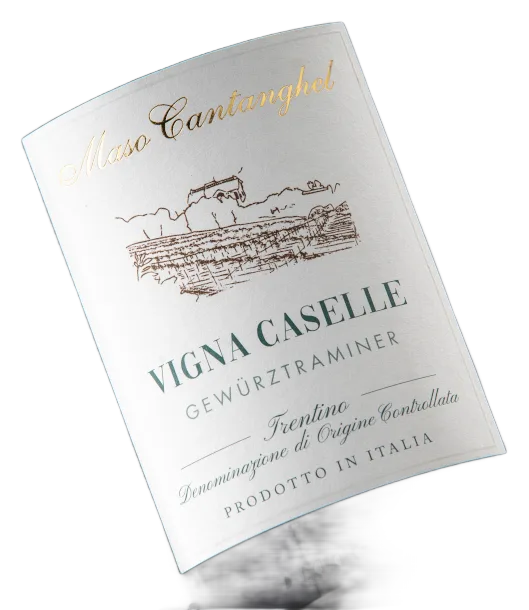 Vigna Caselle Gewürztraminer
