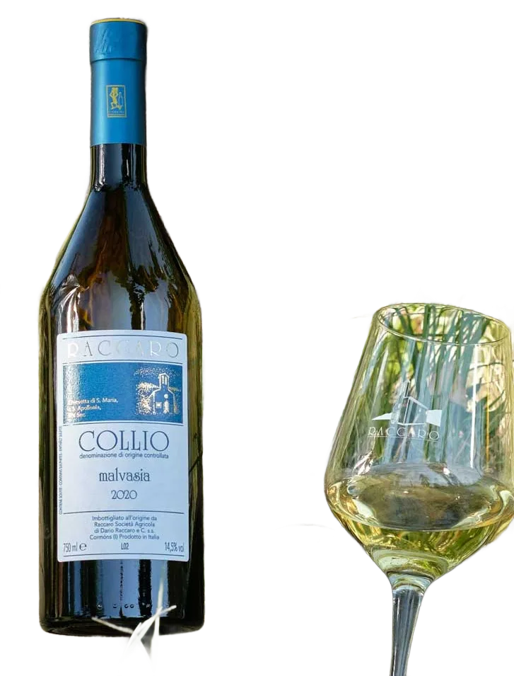 Malvasia