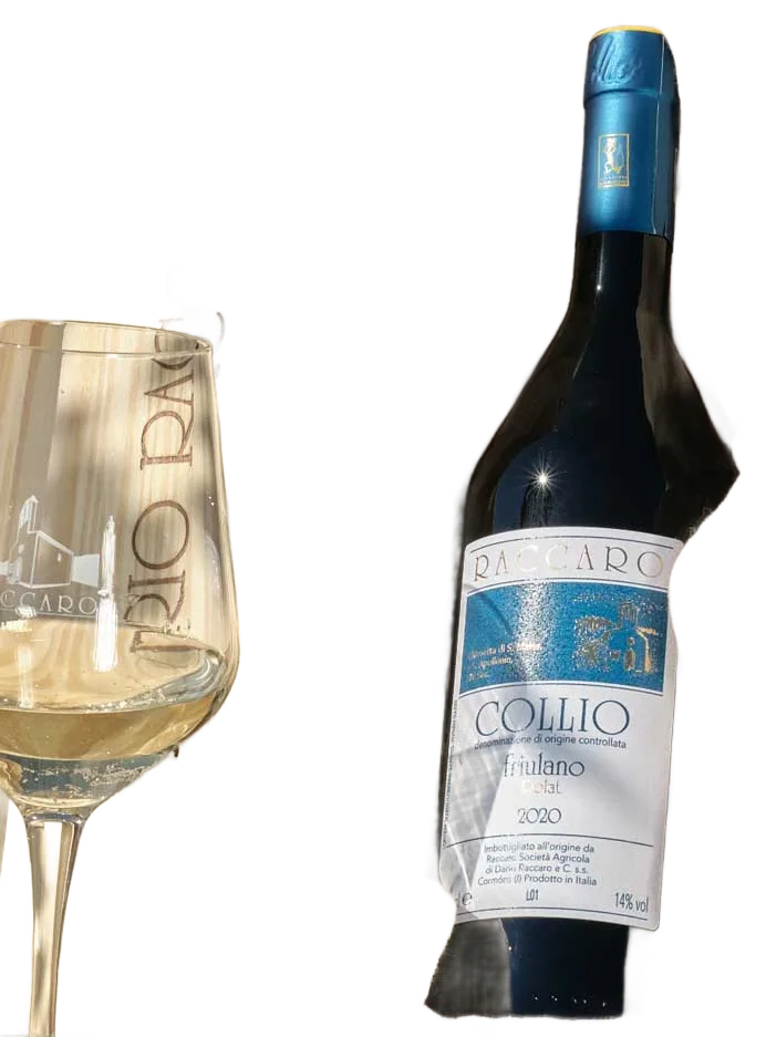 Friulano