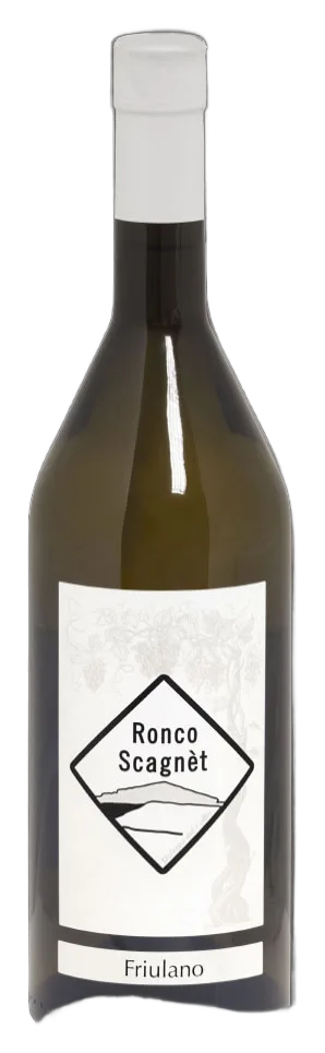 Friulano