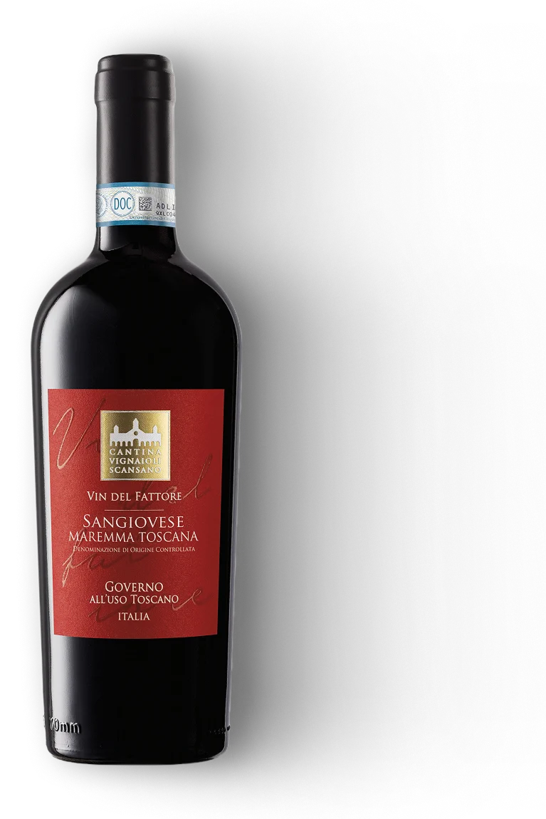Vin del Fattore