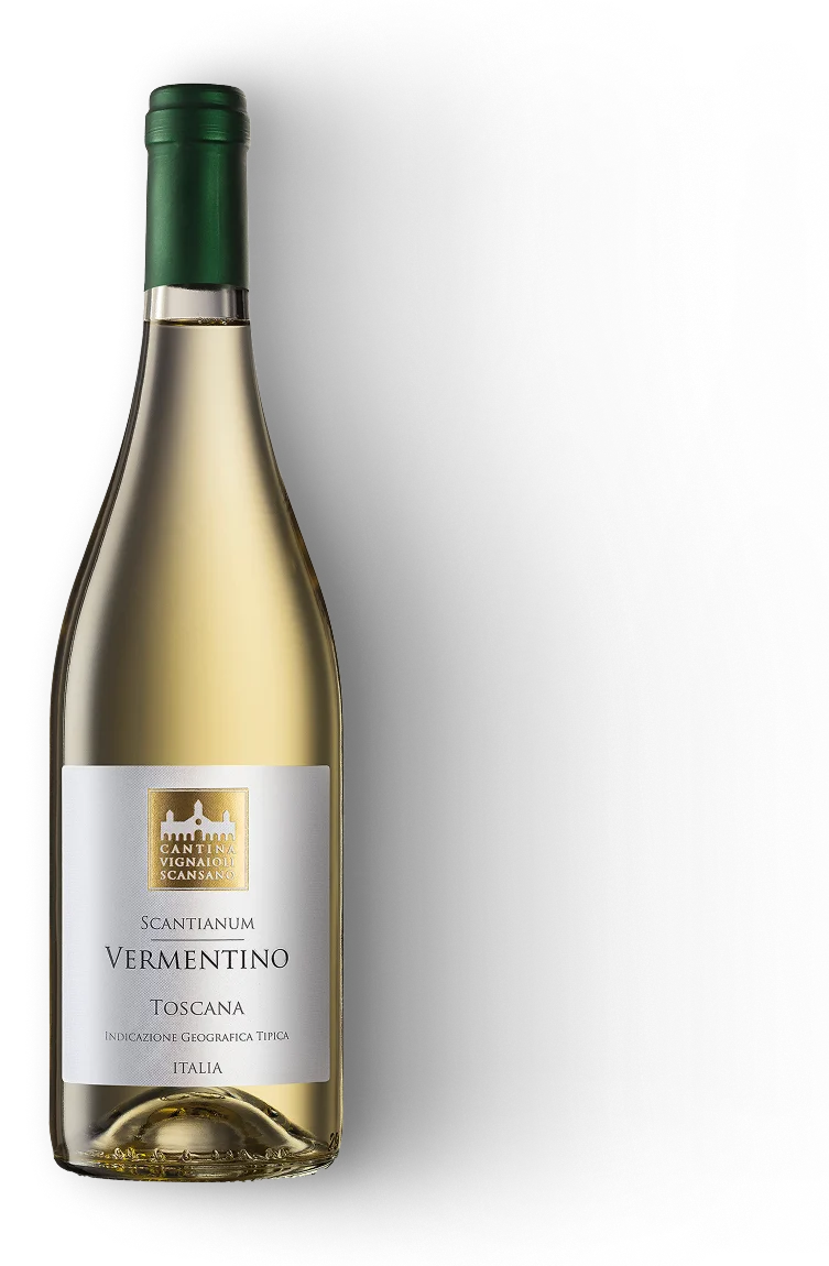 Vermentino Scantianum