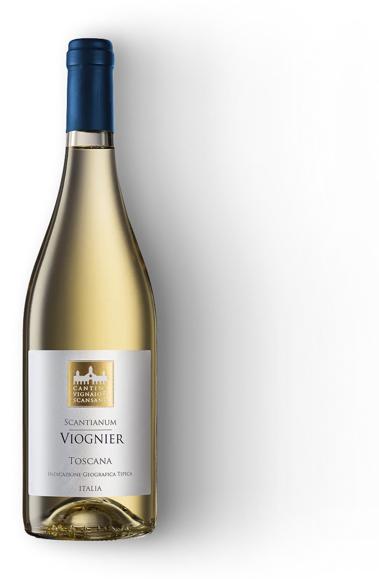 Viognier Scantianum