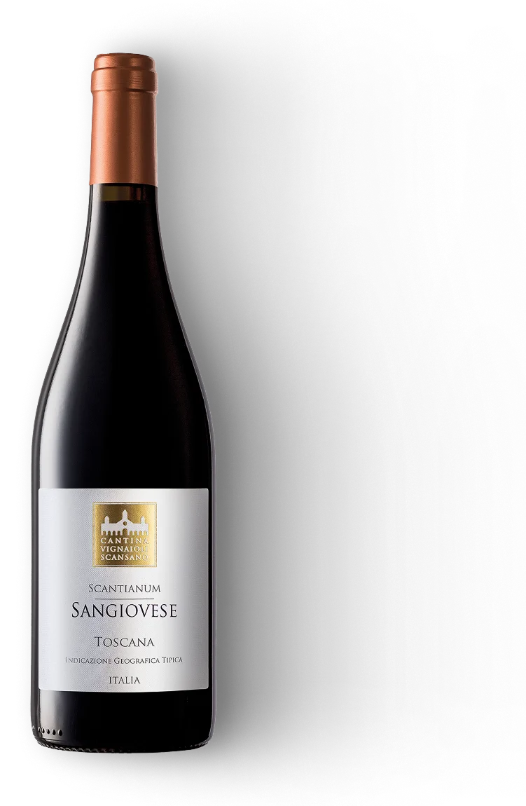 Sangiovese Scantianum