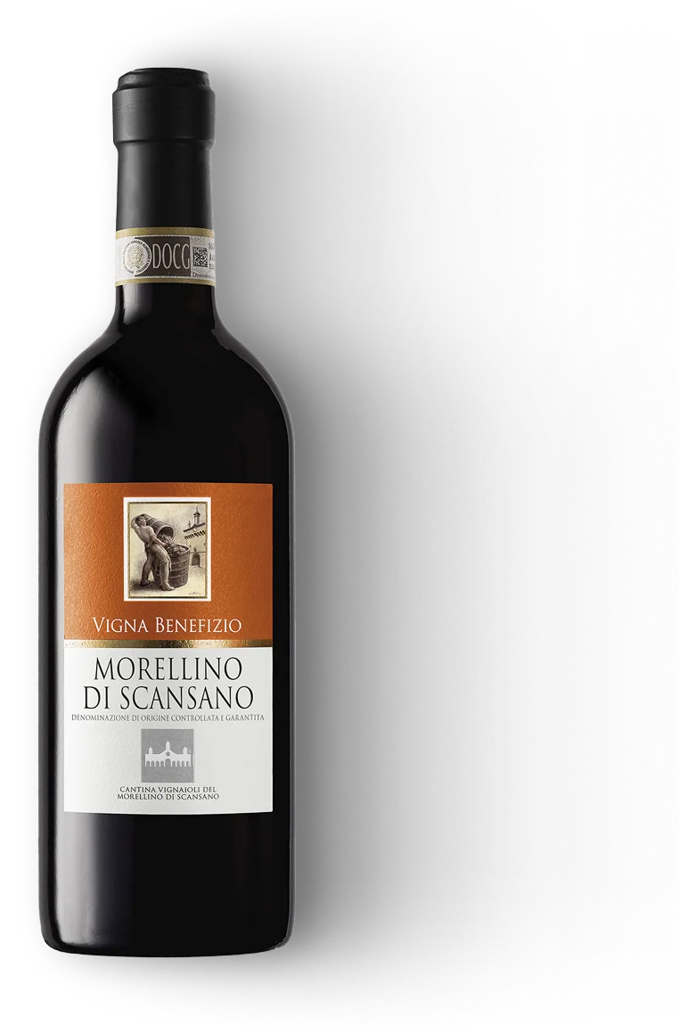 Vigna Benefizio GDO