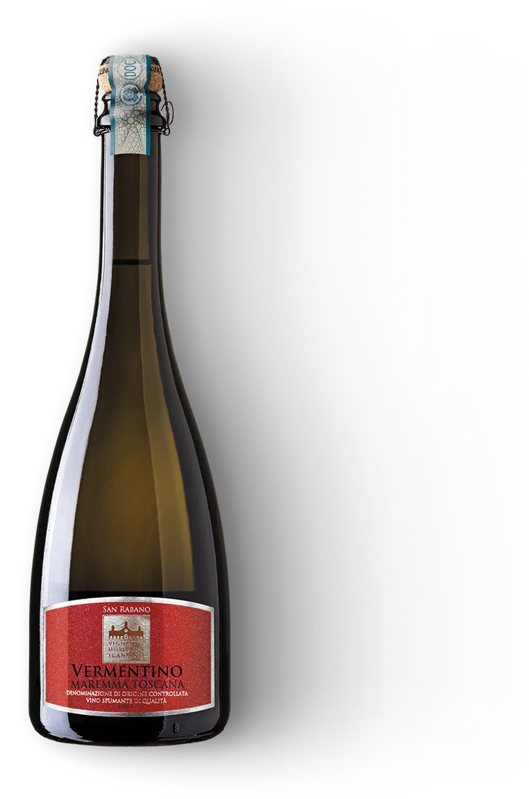 San Rabano Spumante Brut GDO