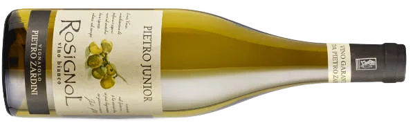 Rosignol Bianco