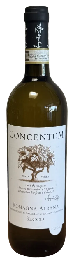 Concentum