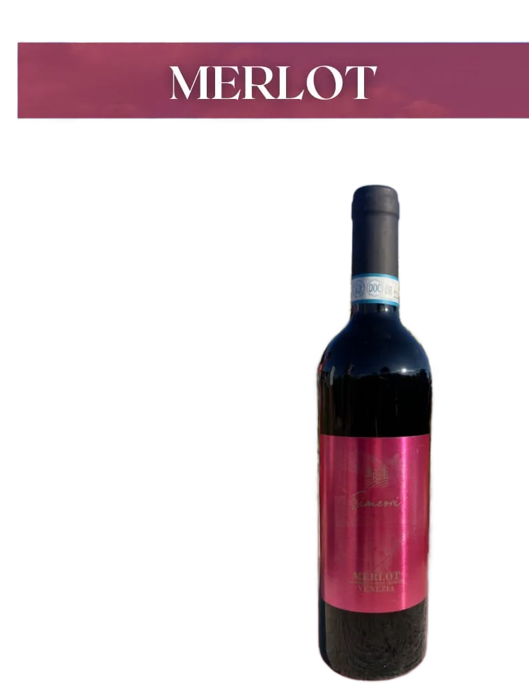 Merlot D.O.C delle Venezie