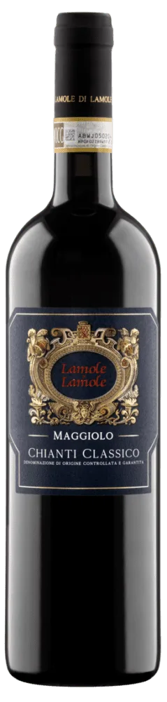 Maggiolo