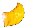 Ribolla Gialla