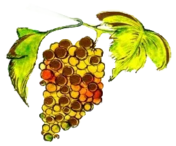 Moscato Giallo