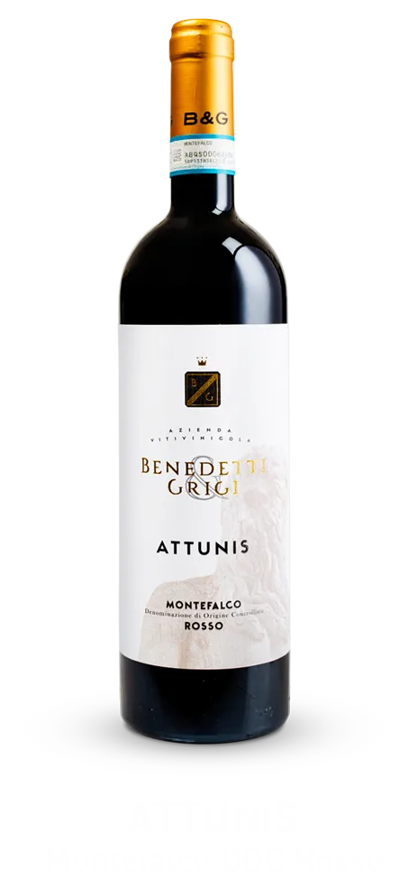 Attunis