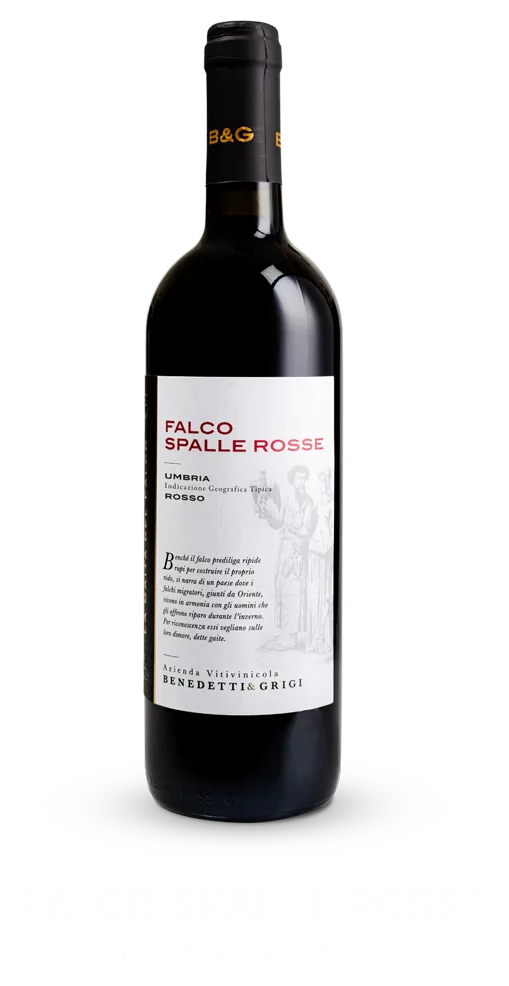Falco Spalle Rosse